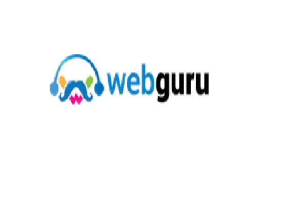 Web Guru Dc's Logo